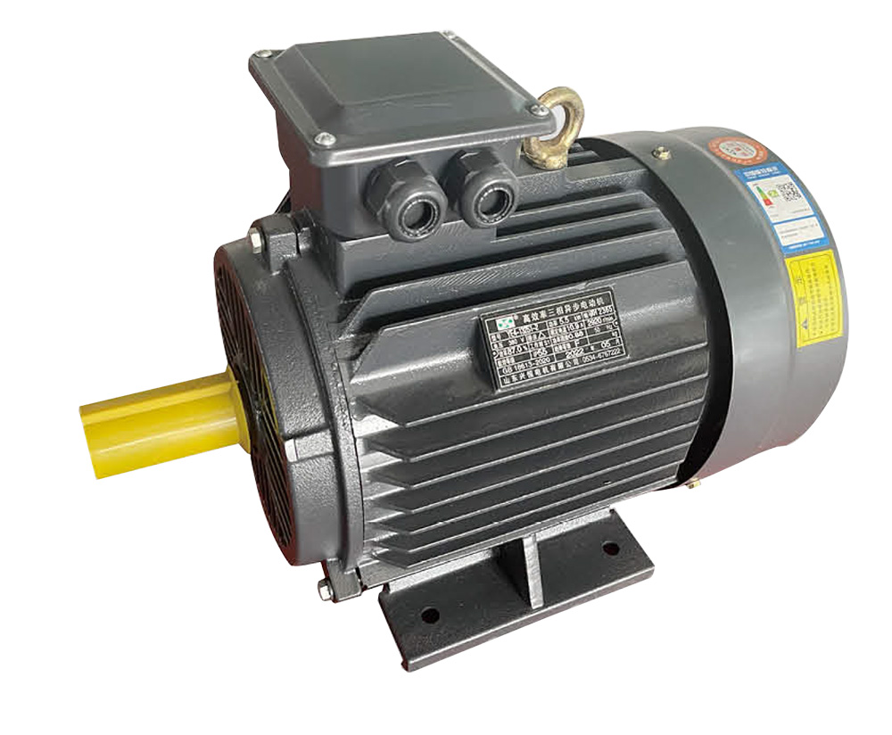 YE4 高效率三相異步電動(dòng)機(jī)可以按用戶要求設(shè)計(jì)
